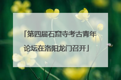 第四届石窟寺考古青年论坛在洛阳龙门召开