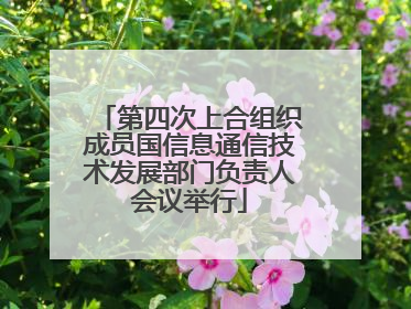 第四次上合组织成员国信息通信技术发展部门负责人会议举行