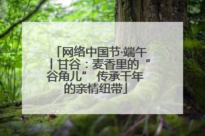网络中国节·端午丨甘谷：麦香里的“谷角儿” 传承千年的亲情纽带