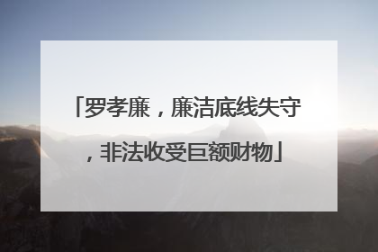 罗孝廉，廉洁底线失守，非法收受巨额财物