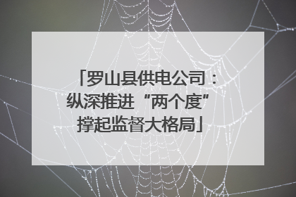罗山县供电公司：纵深推进“两个度” 撑起监督大格局