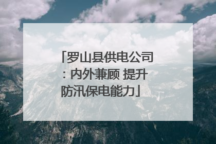 罗山县供电公司：内外兼顾 提升防汛保电能力