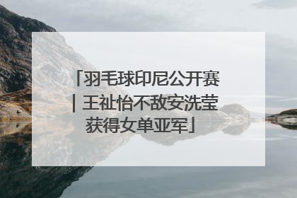 羽毛球印尼公开赛｜王祉怡不敌安洗莹 获得女单亚军