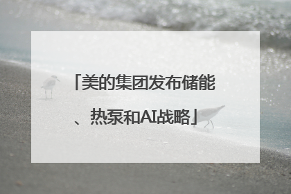 美的集团发布储能、热泵和AI战略