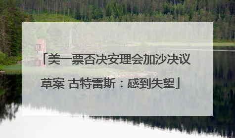 美一票否决安理会加沙决议草案 古特雷斯：感到失望