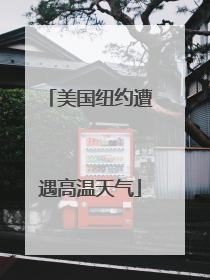美国纽约遭遇高温天气