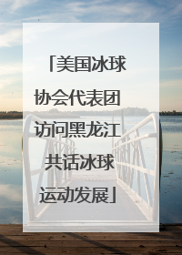美国冰球协会代表团访问黑龙江 共话冰球运动发展