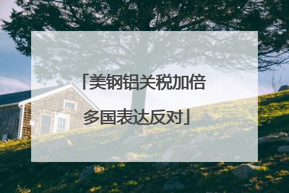 美钢铝关税加倍 多国表达反对