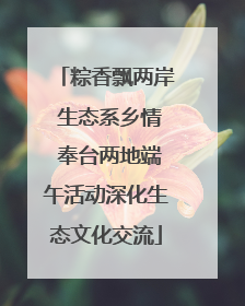 粽香飘两岸 生态系乡情 奉台两地端午活动深化生态文化交流