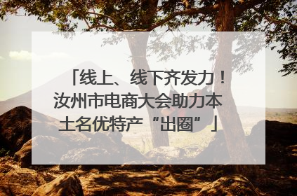 线上、线下齐发力！汝州市电商大会助力本土名优特产“出圈”