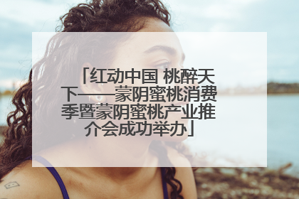 红动中国 桃醉天下——蒙阴蜜桃消费季暨蒙阴蜜桃产业推介会成功举办