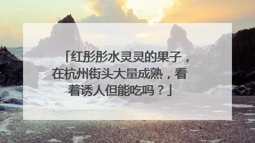 红彤彤水灵灵的果子，在杭州街头大量成熟，看着诱人但能吃吗？