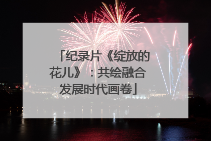 纪录片《绽放的花儿》：共绘融合发展时代画卷