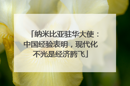 纳米比亚驻华大使：中国经验表明，现代化不光是经济腾飞