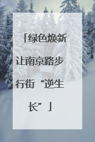 绿色焕新让南京路步行街“逆生长”