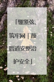 绷紧弦、筑牢网｜颜厝道安整治护安全