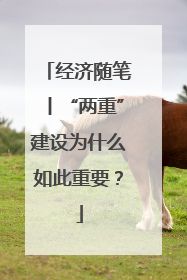经济随笔丨“两重”建设为什么如此重要？