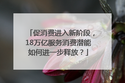 促消费进入新阶段，18万亿服务消费潜能如何进一步释放？