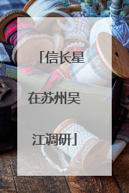 信长星在苏州吴江调研