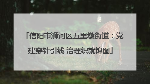信阳市浉河区五里墩街道：党建穿针引线 治理织就锦图