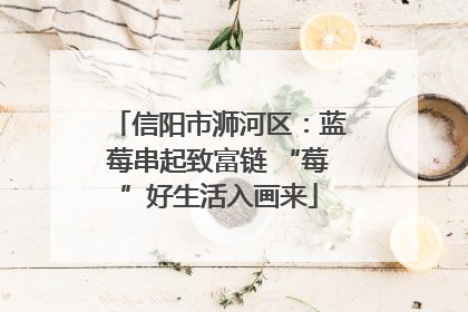 信阳市浉河区：蓝莓串起致富链 “莓”好生活入画来