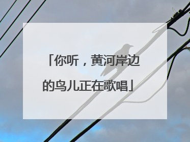 你听，黄河岸边的鸟儿正在歌唱