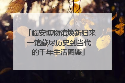 临安博物馆焕新归来 一馆藏尽历史到当代的千年生活图鉴