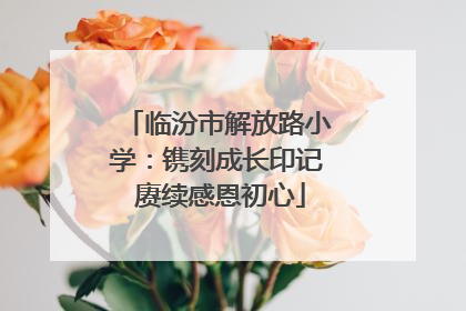 临汾市解放路小学：镌刻成长印记 赓续感恩初心