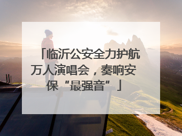 临沂公安全力护航万人演唱会，奏响安保“最强音”