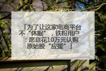 为了让这家电商平台不“休眠”，铁粉用户：愿意花10万元认购原始股“应援”