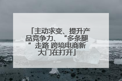 主动求变、提升产品竞争力、“多条腿”走路 跨境电商新大门在打开