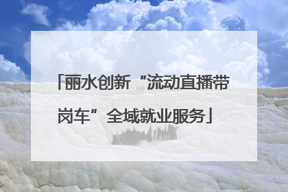 丽水创新“流动直播带岗车”全域就业服务