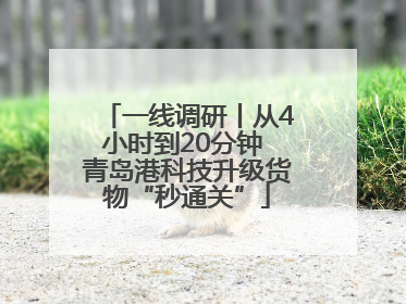 一线调研丨从4小时到20分钟 青岛港科技升级货物“秒通关”