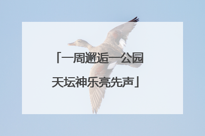 一周邂逅一公园 天坛神乐亮先声