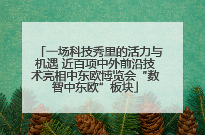 一场科技秀里的活力与机遇 近百项中外前沿技术亮相中东欧博览会“数智中东欧”板块