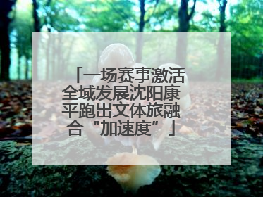 一场赛事激活全域发展沈阳康平跑出文体旅融合“加速度”