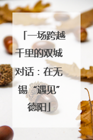 一场跨越千里的双城对话：在无锡“遇见”德阳