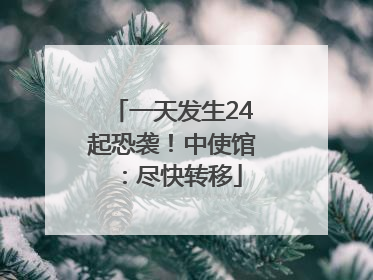 一天发生24起恐袭！中使馆：尽快转移