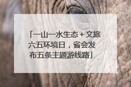 一山一水生态＋文旅 六五环境日，省会发布五条主题游线路