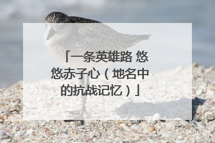 一条英雄路 悠悠赤子心（地名中的抗战记忆）