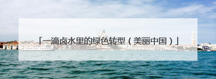 一滴卤水里的绿色转型（美丽中国）
