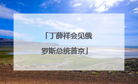 丁薛祥会见俄罗斯总统普京