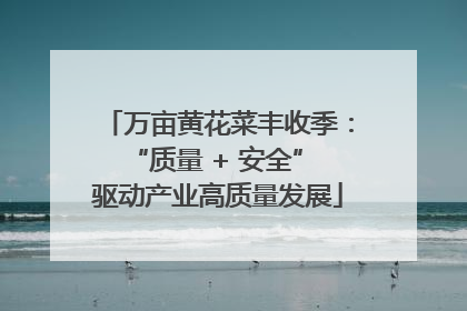 万亩黄花菜丰收季：“质量 + 安全” 驱动产业高质量发展