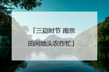 三夏时节 南京田间地头农作忙