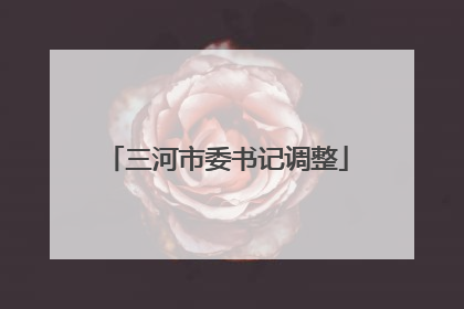 三河市委书记调整