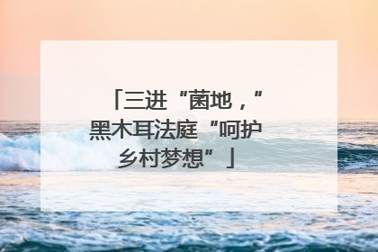 三进“菌地，”黑木耳法庭“呵护乡村梦想”