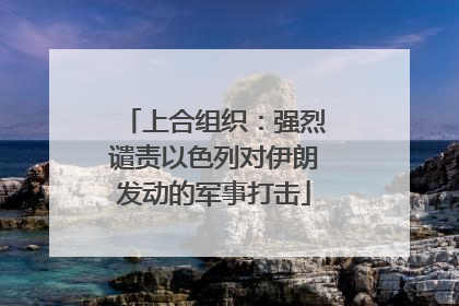 上合组织：强烈谴责以色列对伊朗发动的军事打击