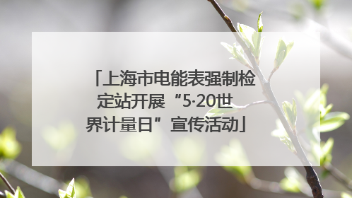 上海市电能表强制检定站开展“5·20世界计量日”宣传活动