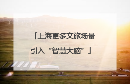 上海更多文旅场景引入“智慧大脑”