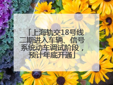 上海轨交18号线二期进入车辆、信号系统动车调试阶段，预计年底开通